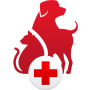 First Aid Certified